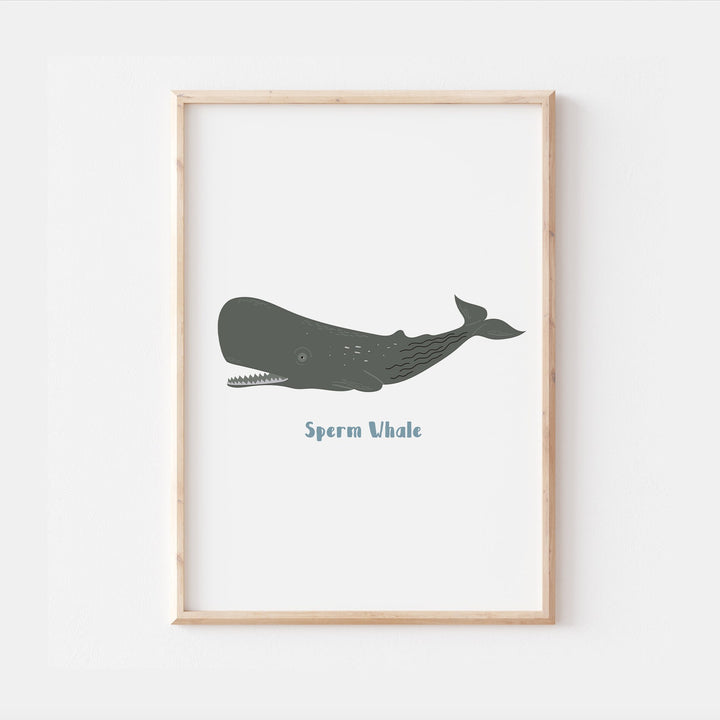 Under the Sea Ocean Whale Orca Beluga Marine Water Creatures Animals Kids Nursery Print Baby Bedroom Decor Posters Quote Shark Aqua Theme