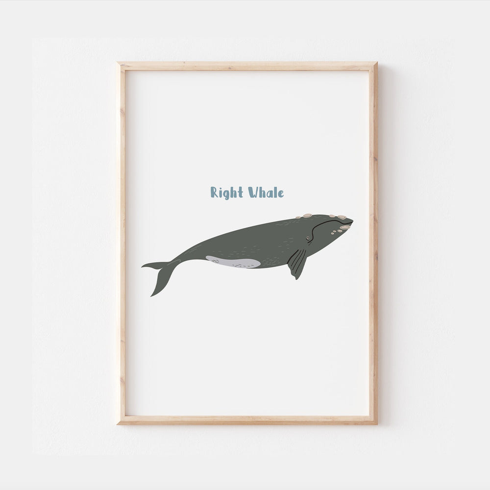 Under the Sea Ocean Whale Orca Beluga Marine Water Creatures Animals Kids Nursery Print Baby Bedroom Decor Posters Quote Shark Aqua Theme