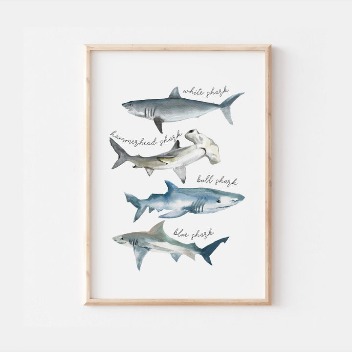 Shark Print | Ocean Great White Shark Hammerhead Goblin Whale Alphabet Print Poster Educational Kids Bedroom Nursery Decor Wall Art