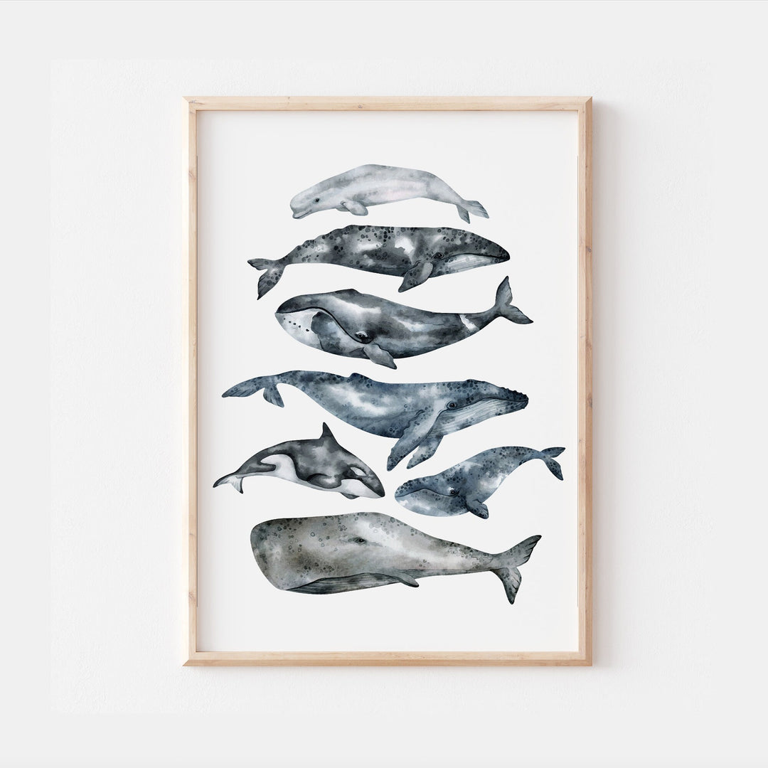 Whale Print | Ocean Beluga Orca Humpback Grey Sperm Minke Blue Whale Alphabet Print Poster Educational Kids Bedroom Nursery Decor Wall Art