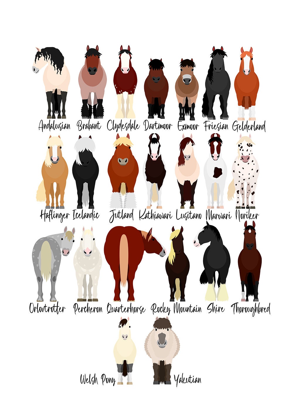 Horse Breed Print | Personalised Pony Arabian Shire Lover Pet Art | Gift Alphabet Print Shetland Poster Kids Bedroom Nursery Decor Wall Art